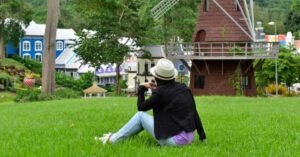 Landscape Design Near Me: A Seasonal Considerations Guide for Homeowners Landscape Design Near Me