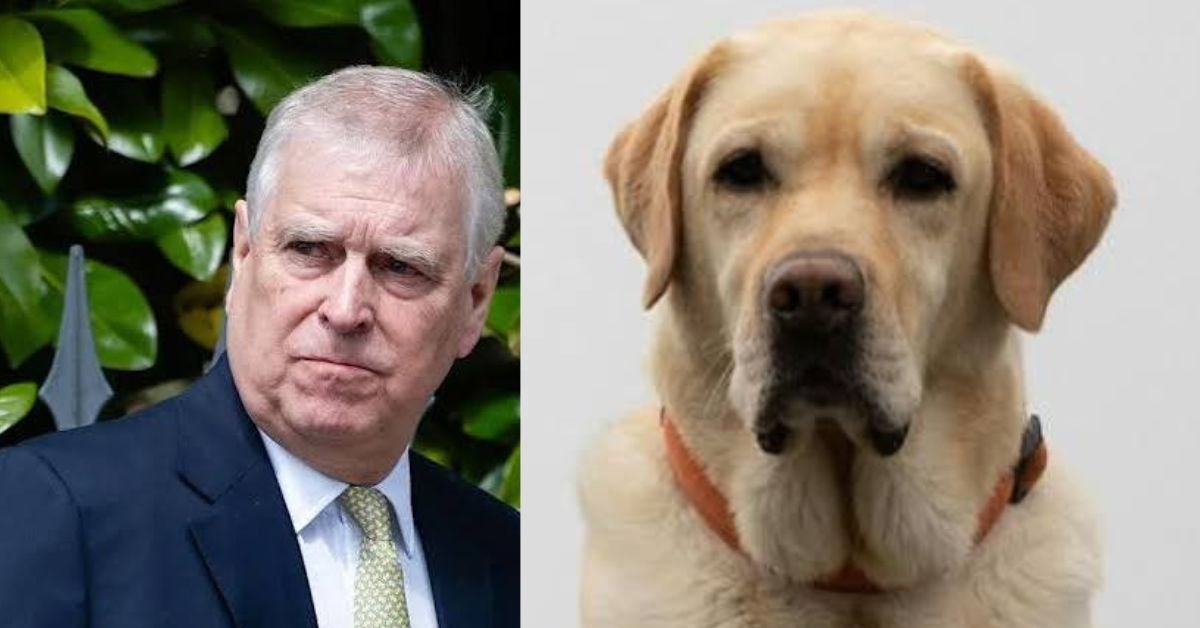 Andrew Mountbatten-windsor Allegedly Kicked His Dog During A Royal Gatherin